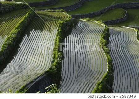 Init terraced rice fields 2587349