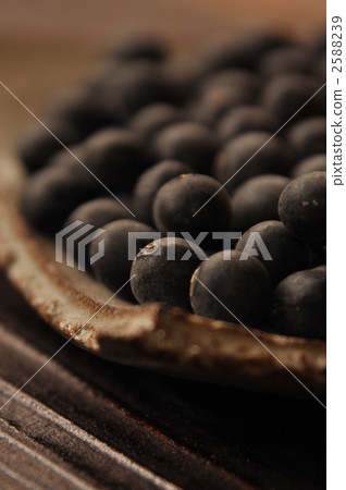 Tanba black soybean 2588239