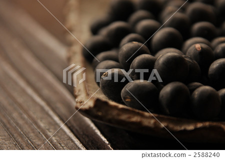Tanba black soybean 2588240