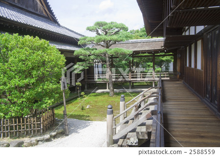 Ninna-ji寺濕了 Ninna-ji寺濕了 2588559