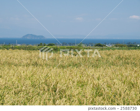 Landscape of Takechijima and Inaho in Lake Biwa Landscape of Takechijima and Inaho in Lake Biwa 2588730