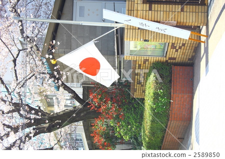 national flag, national flags, sun-flag 2589850