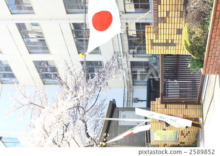 平靜 溫和 溫柔 2589852