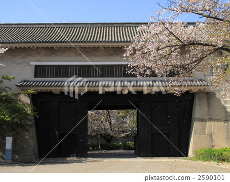 大阪城多塔主人 大阪城多塔主人 2590101