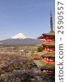 mountain fuji, mt fuji, mt.fuji 2590557