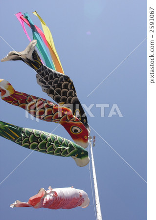 carp streamer, japanese carp-shaped windsock, four (animals) 2591067