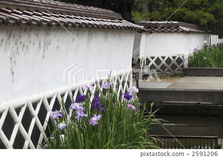 津和野 津和野 2591206