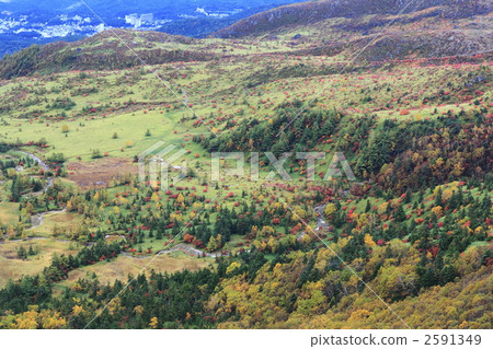 Yoshigei Mire from Shibu-cho 2591349