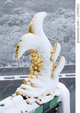 Snow on the roof of Osaka Castle Snow on the roof of Osaka Castle 2593022