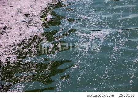 花筏河表面 2593135