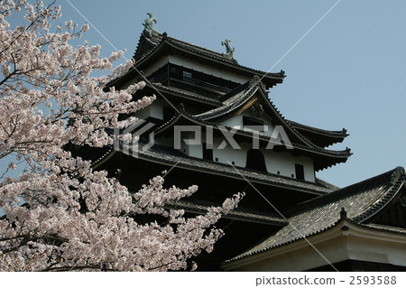 Matsue Castle 2593588