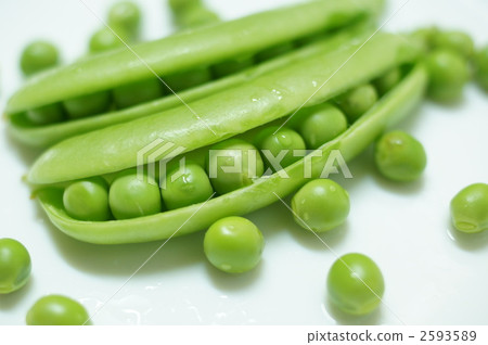 Lazy snap pea Lazy snap pea 2593589