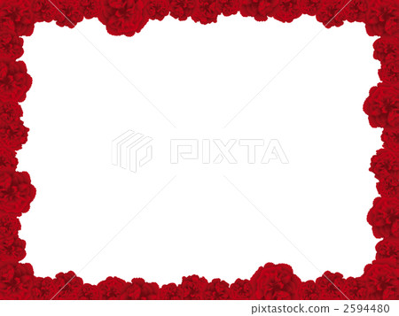 Carnation frame 2594480