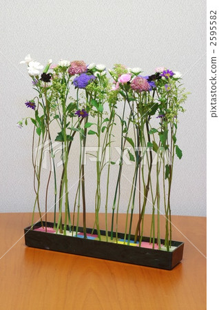 一株紫菀植物 花道 插花 2595582