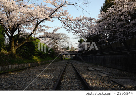 京都,春天海灘墨水線 京都,春天海灘墨水線 2595844