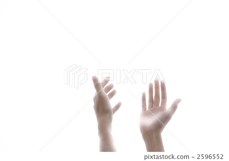 hand hand 2596552