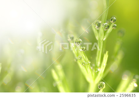 雨後的小彩虹 雨後的小彩虹 2596635