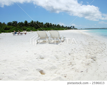 Vacation Vacation 2596813