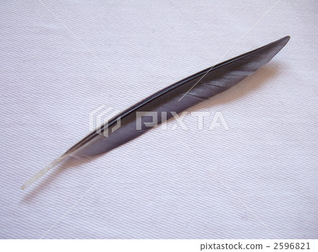 藍色的羽毛 2596821