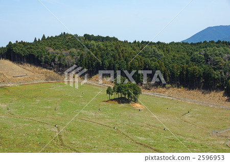 Mitsuu Takahara農場樹 2596953