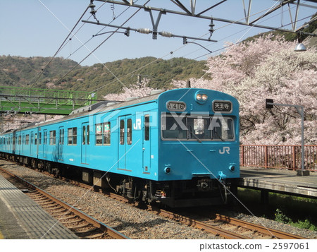 Series 103 and cherry blossoms 2597061