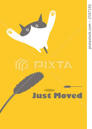 Greeting greeting greeting of cat Greeting greeting greeting of cat 2597192