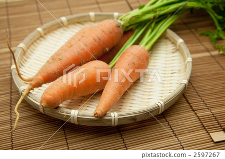 胡蘿蔔葉 2597267