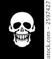 Monochrome skull 2597427