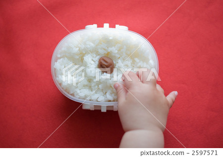 Hino Circle Bento 2597571