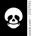 Skull 2597591