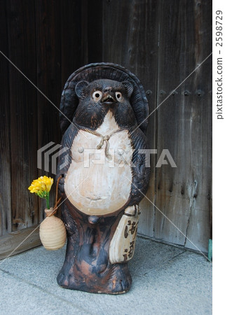 黃花 棕色 褐色 2598729