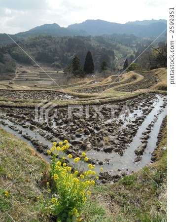 Oyama Senjita Oyama Senjita 2599351