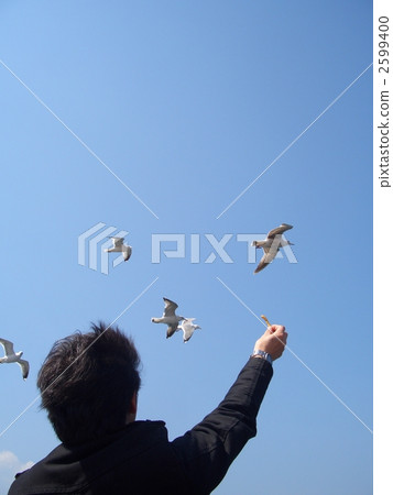 男性 男人 饋送 2599400