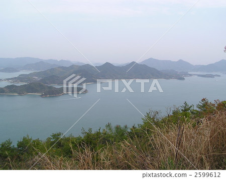 鷺島 鷺島 2599612