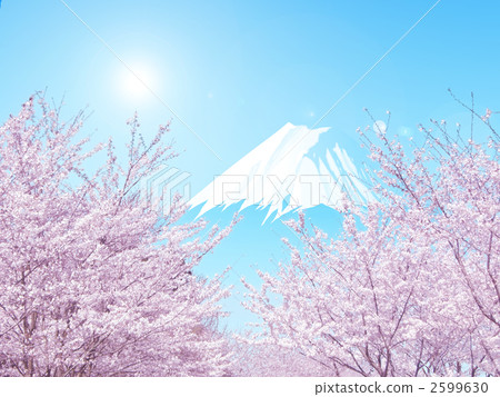 富士和櫻花 2599630