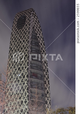 東京，2011年3月19日 2599655
