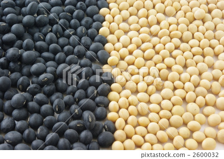 Black soybean and soy 2600032