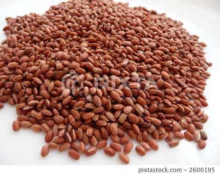 Red rice 2600195