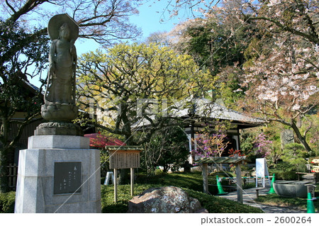Visit Hase temple known by the name of Haseko Kannon 2600264