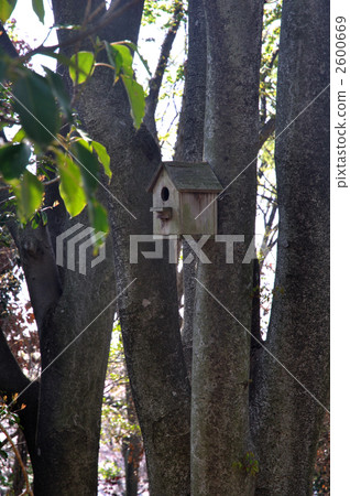Bird's nesting box 2600669