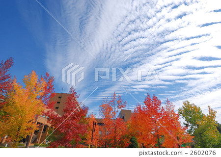 autumn sky  2602076