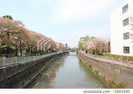 Scenery from the Shimogawa / Foothof Bridge 2602490