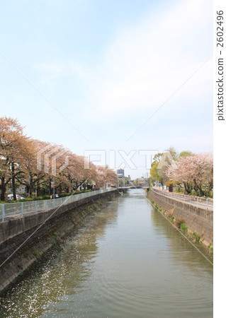 從Shimogawa / Foothof Bridge出發的風景 從Shimogawa / Foothof Bridge出發的風景 2602496
