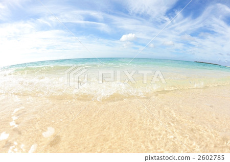 晚上海灘（Yoron島） 2602785