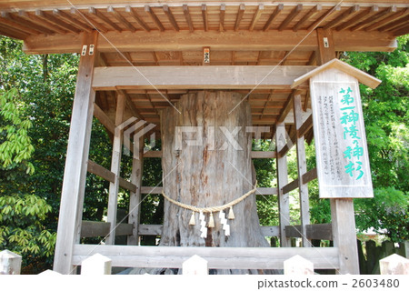 Aso Shrine 2603480