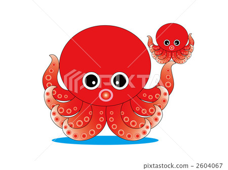 octopus  2604067