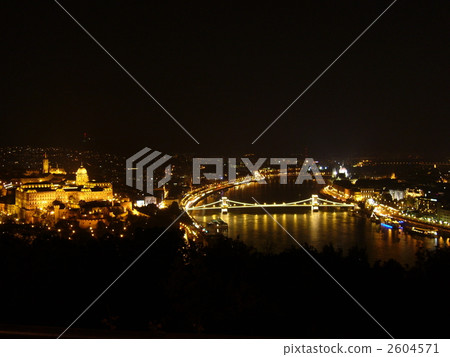 沐浴橋和王宮在布達佩斯 2604571