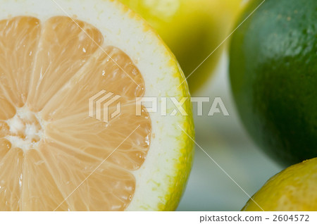 檸檬和酸橙 2604572