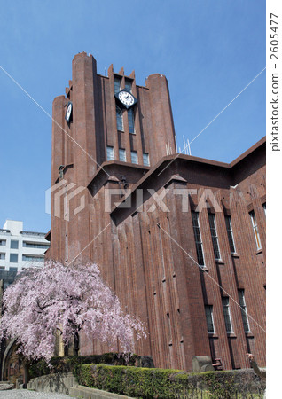 Yasuda Auditorium和Sakura Yasuda Auditorium和Sakura 2605477