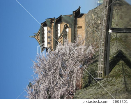 高島城堡在春天 高島城堡在春天 2605801